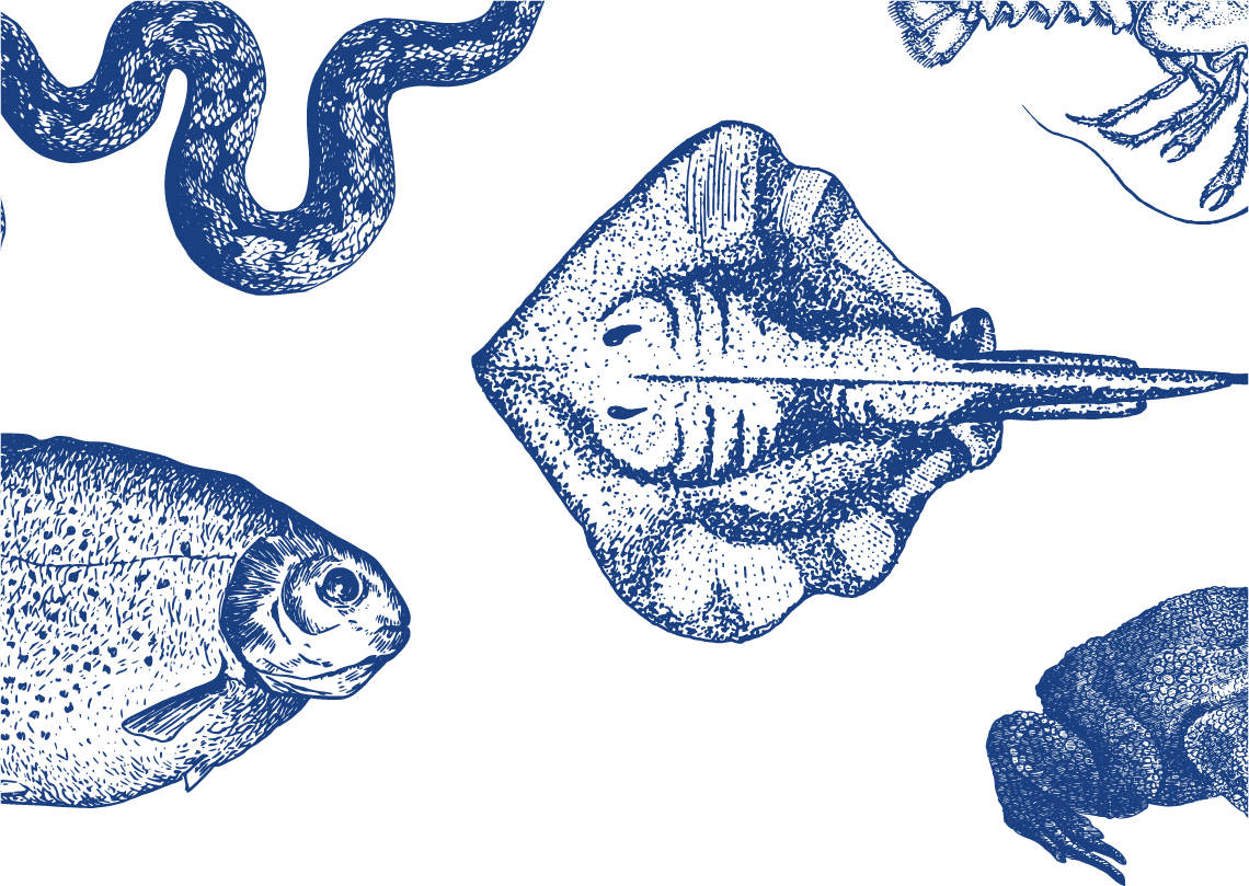 Global Wildlife Travel Index 2019 Global Wildlife Travel Index 2019