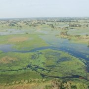 Botswana wetlands