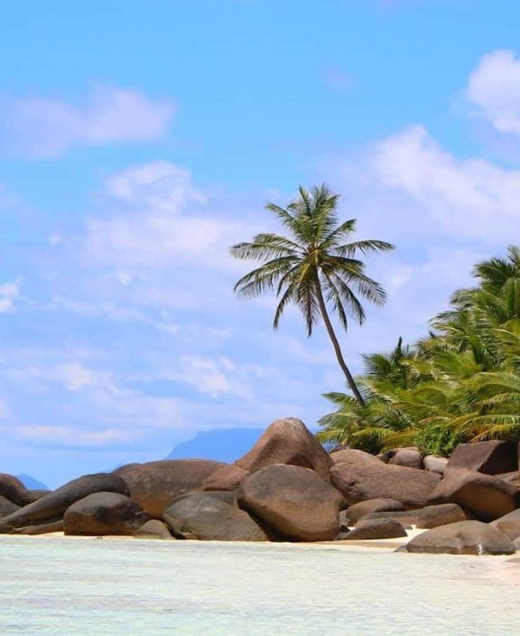 Seychelles Beach with Palm Tree