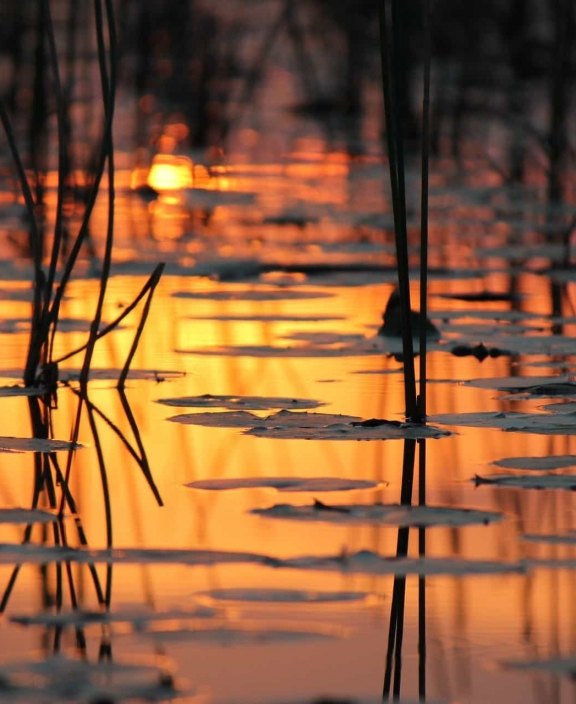 Sunset Reflecting on Lake