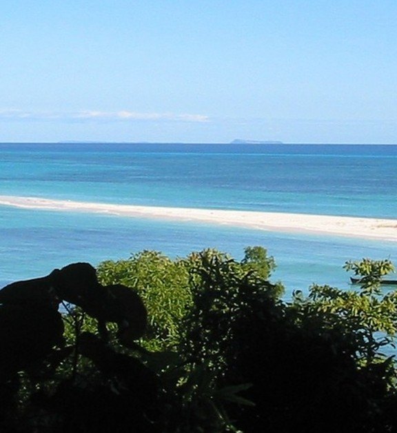 Madagascar Treeline