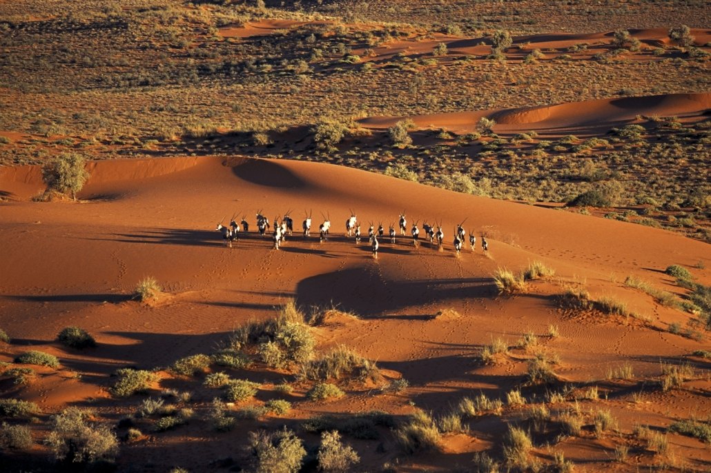 Kalahari Desert Botswana