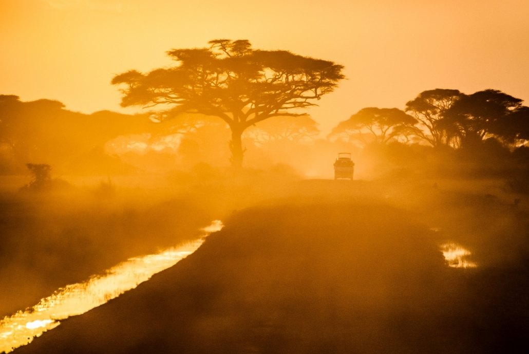 A game drive in Amboseli National Park at sunrise