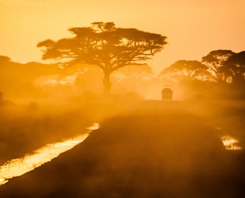 A game drive in Amboseli National Park at sunrise