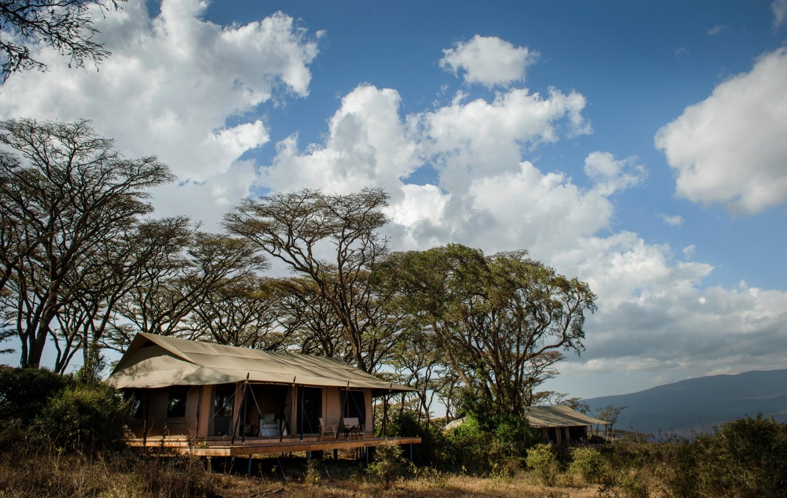 Entamanu Camp