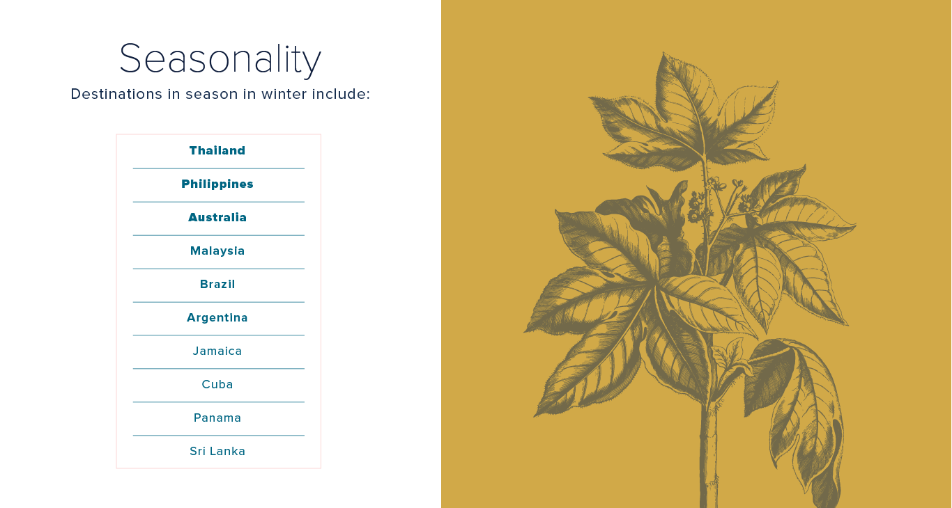 Countries in season in winter