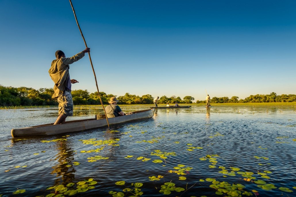 Mokoro Excursion in the Okavango Delta