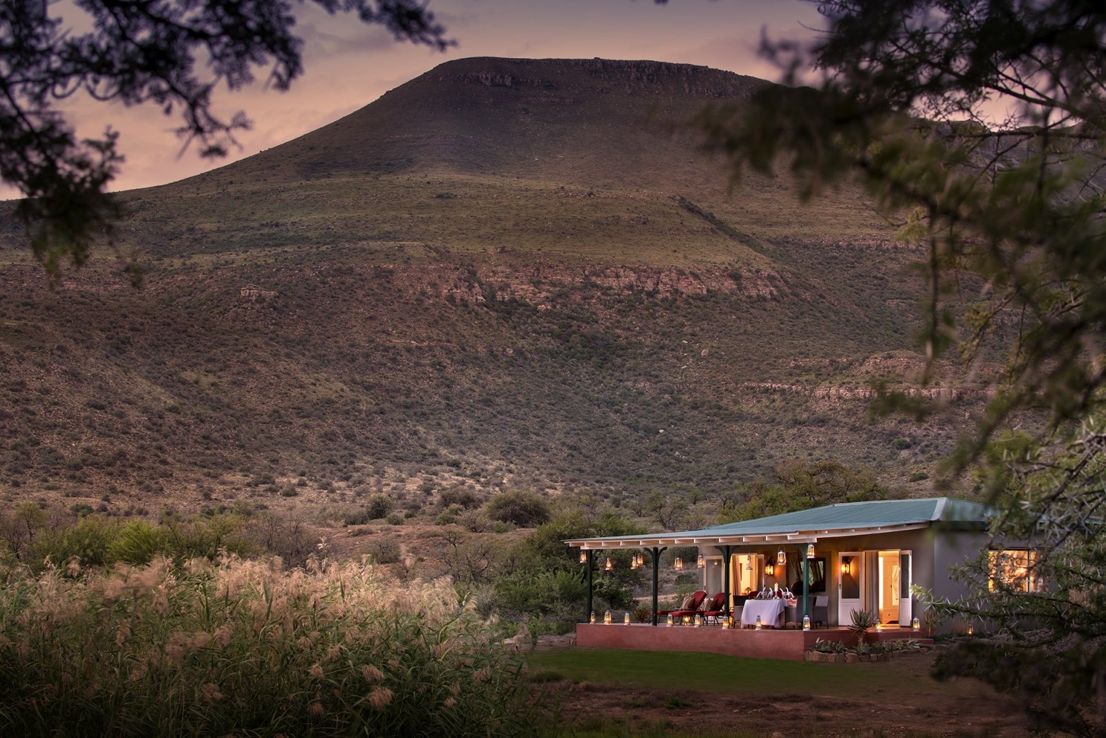 karoo-samara