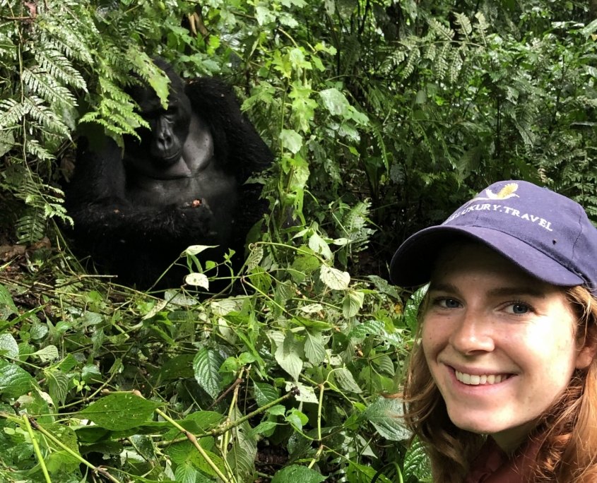 Gorilla Trek