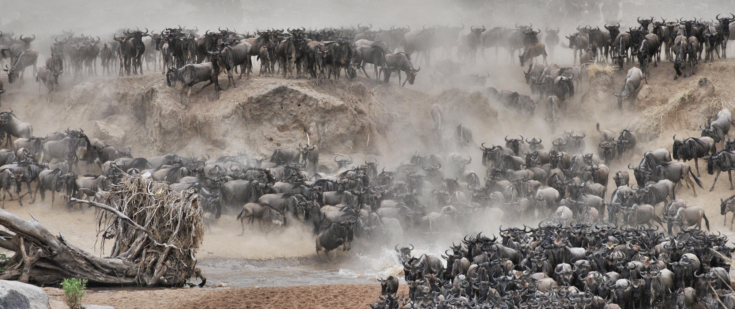 A mega dusty crossing