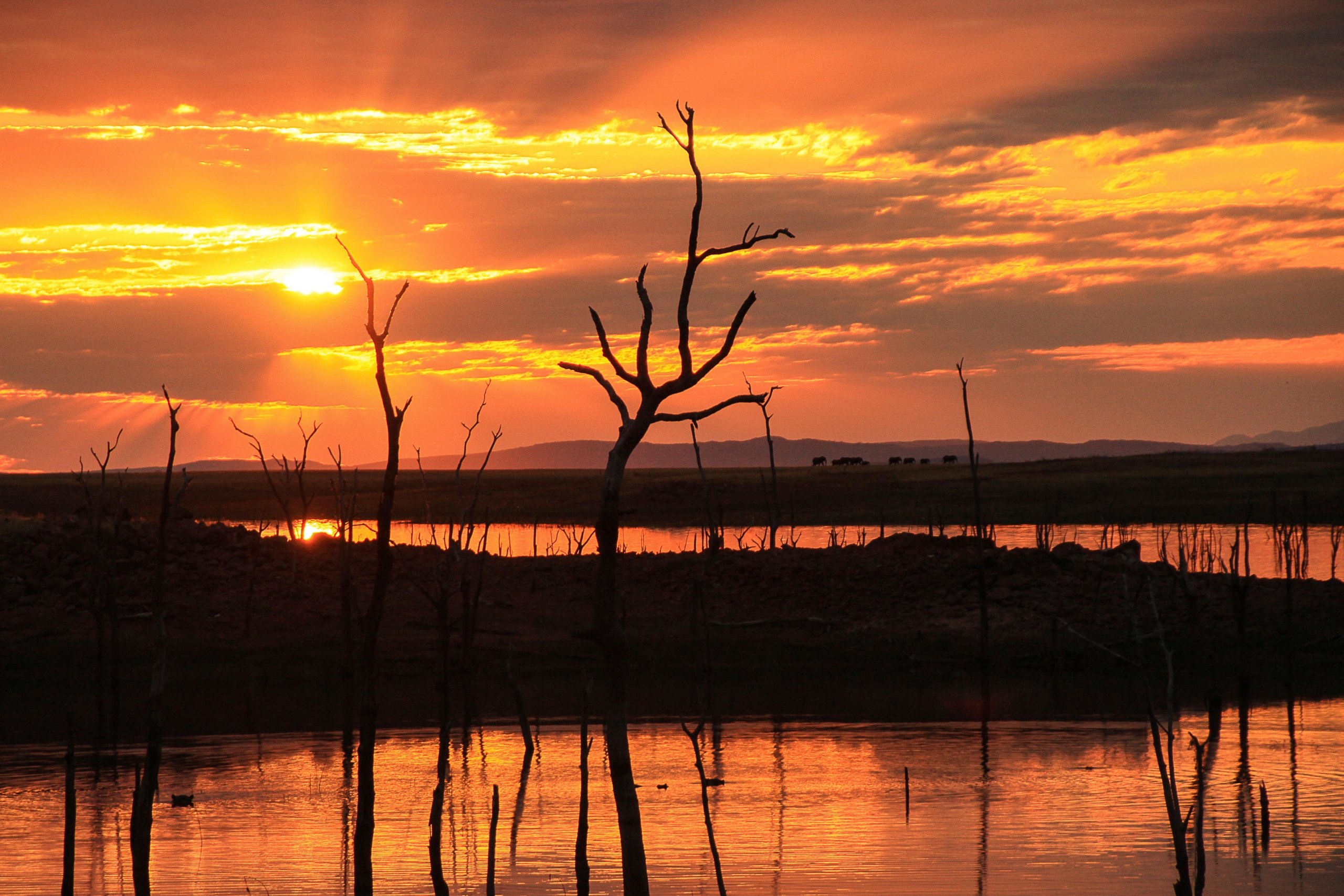 Sunset on Lake Kariba at Changa