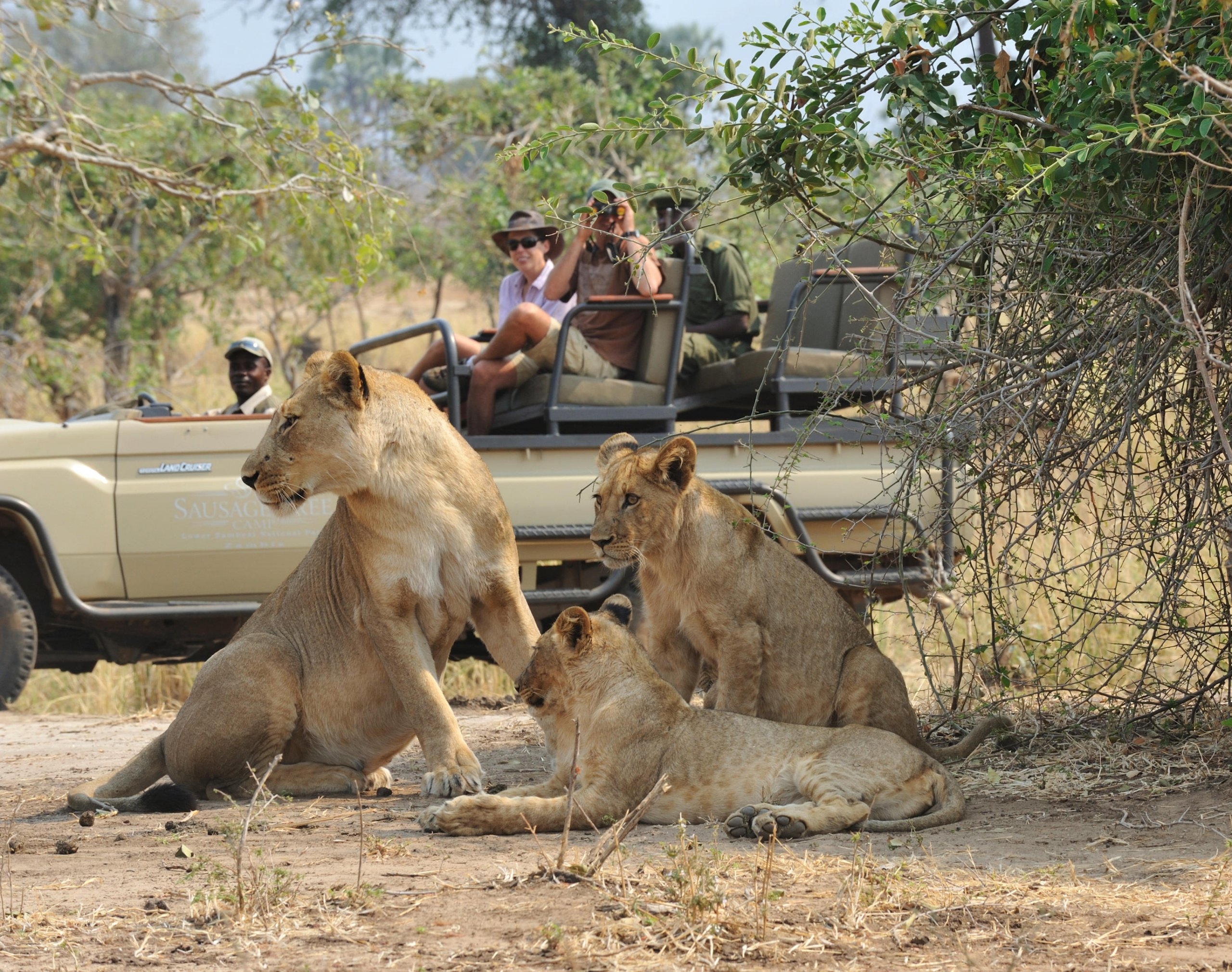 Game Drives