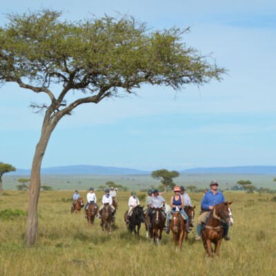 Offbeat Riding Safaris