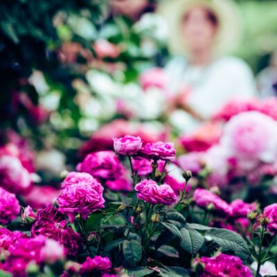 harry-grout-bIg6yxA9aqs-unsplash