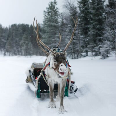 judith-prins-j1F-WyKgr28-unsplash (1)