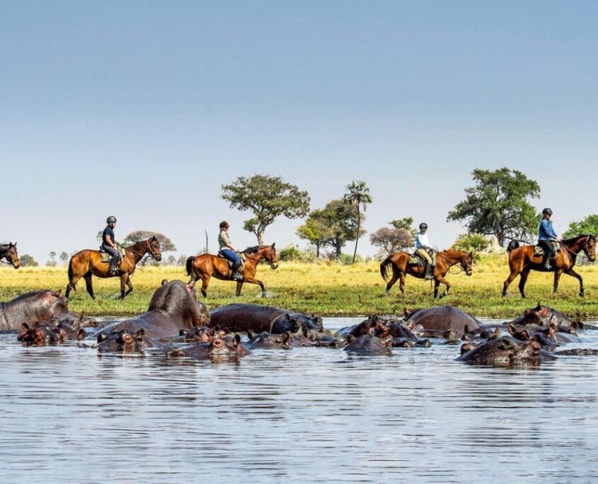 Back in The Saddle - March in Botswana