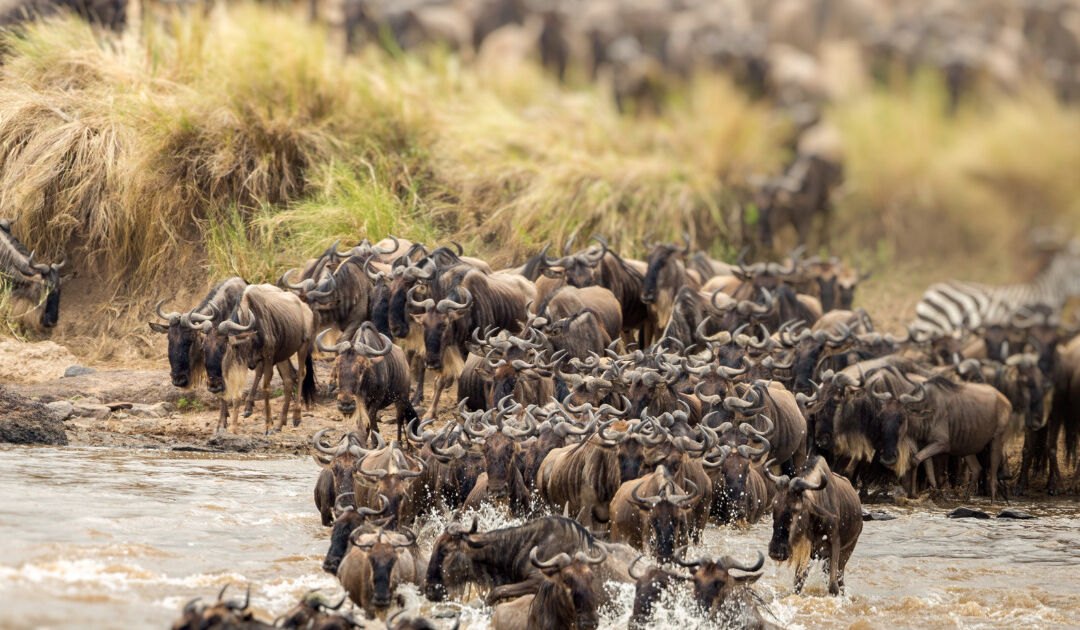 great migration