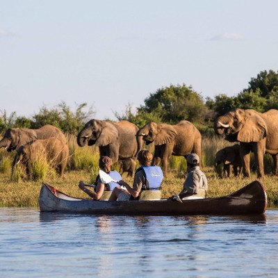 Elephant Mokoro Botswana