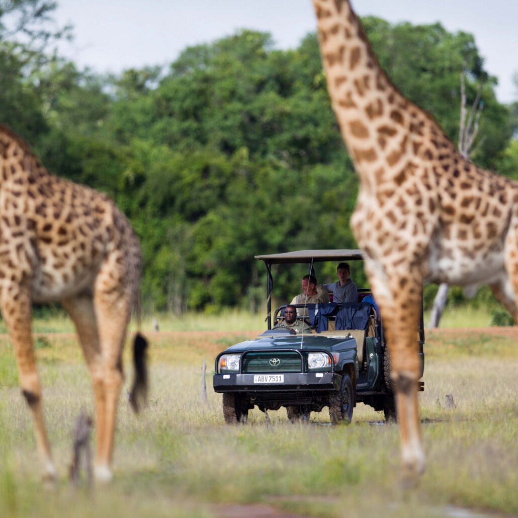 Game Drive Africa