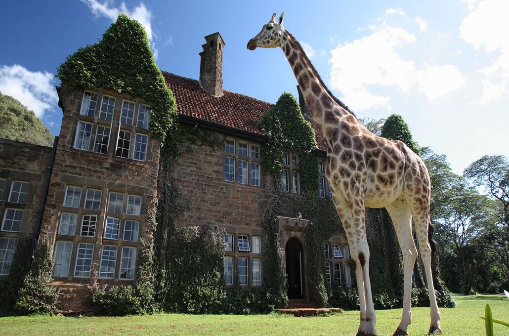 Giraffe Manor