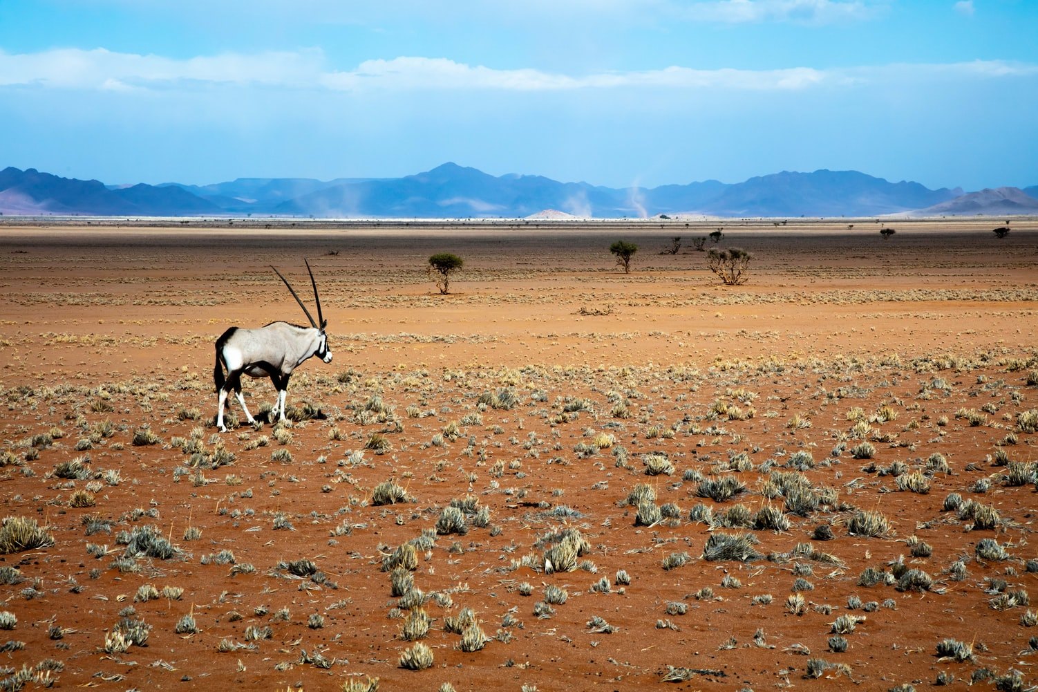 Namib Desert - Onyx