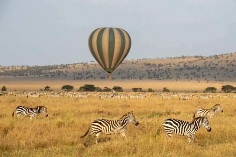 Serengeti - Hot Air Balloon