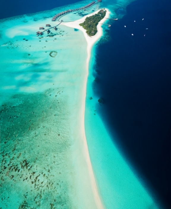 The Maldives - January