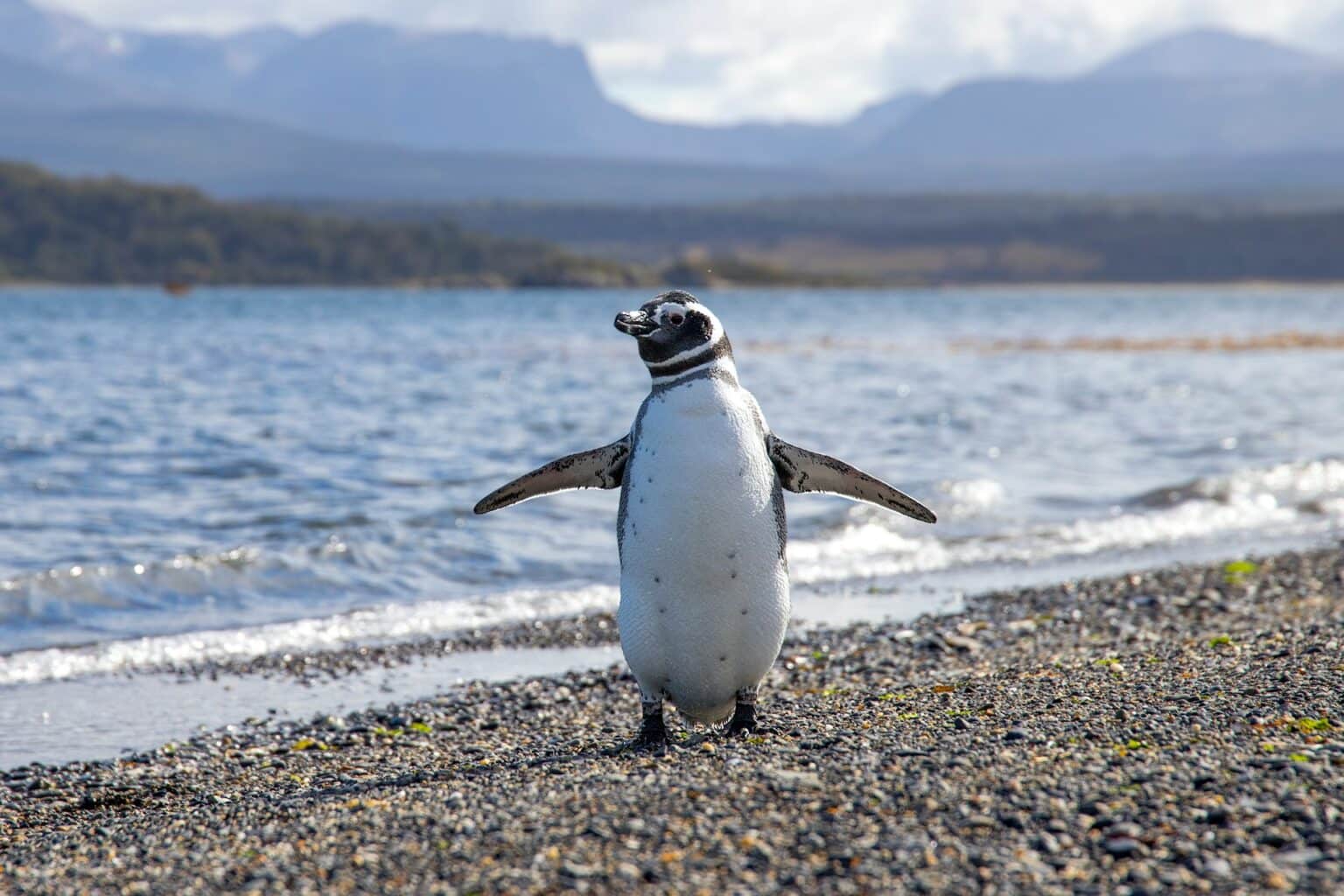 Ushuaia, Argentina