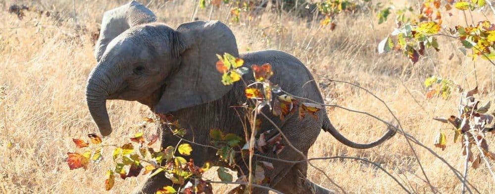 tourist sites in zambia