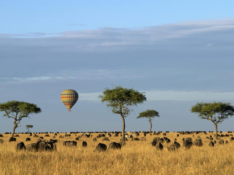 Kenya - Hot Air Balloon Masai Mara