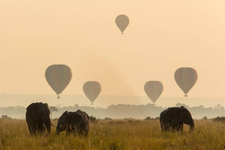 Hot Air Ballooning over the Mara - Kenya, AFR - Experience