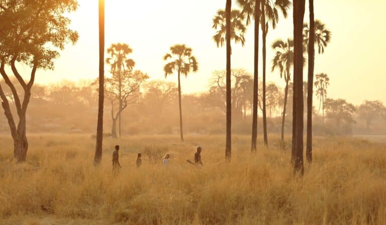 Walking safari - Tanzania, AFR - Experience