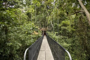 Canopy - Pacuare Lodge - Costa Rica