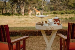 Giraffe Manor - afternoon tea