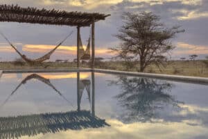 Tanzania - Namiri Plains - Pool hammock