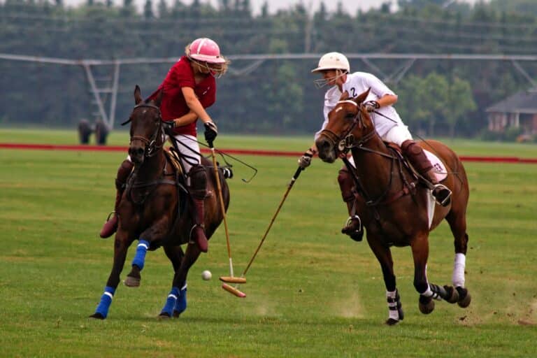 Game of Polo - Chile