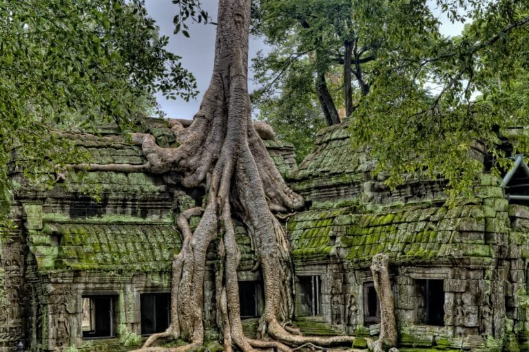 Temples of the Forest - Cambodia