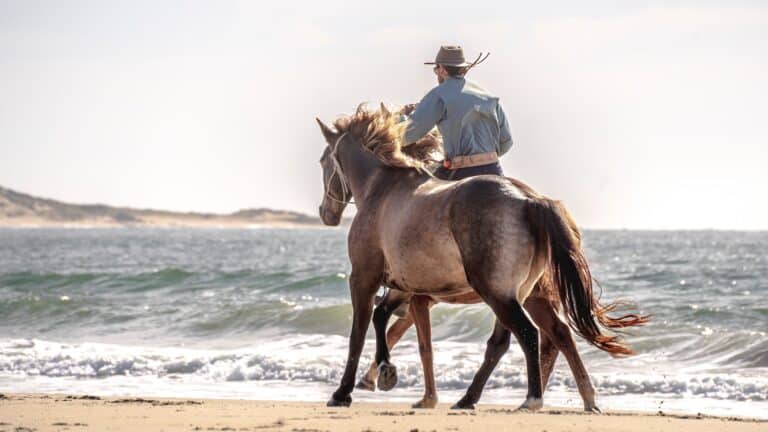 Horse Riding - Uruguay