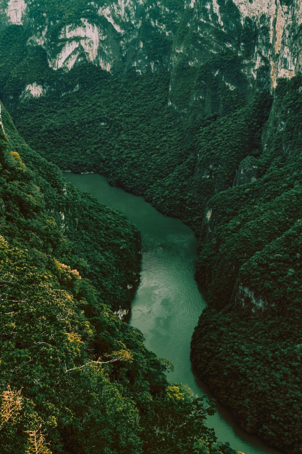 Mexico - Sumidero Canyon