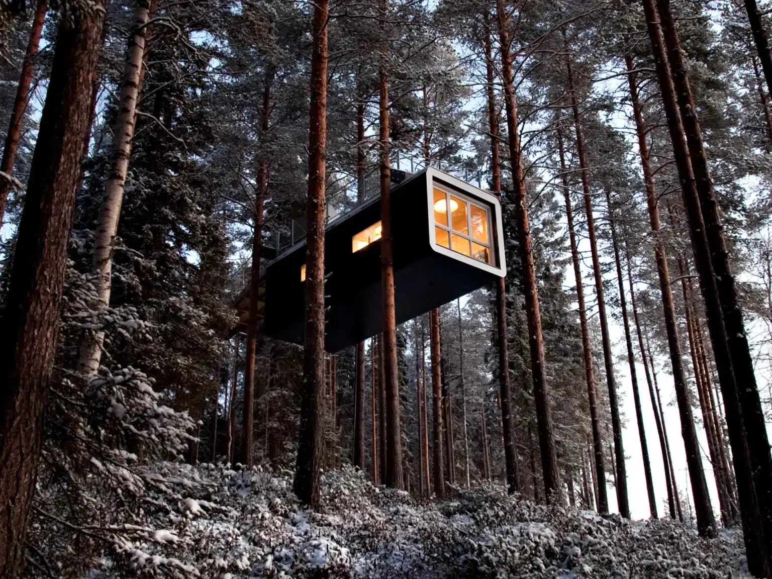 EU_Sweden_Lulea River_Treehotel-the cabin