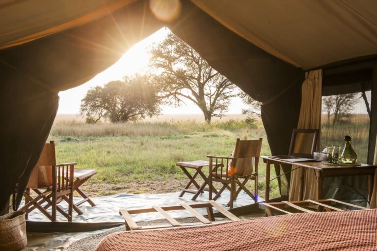 Safari Camp - Tanzania