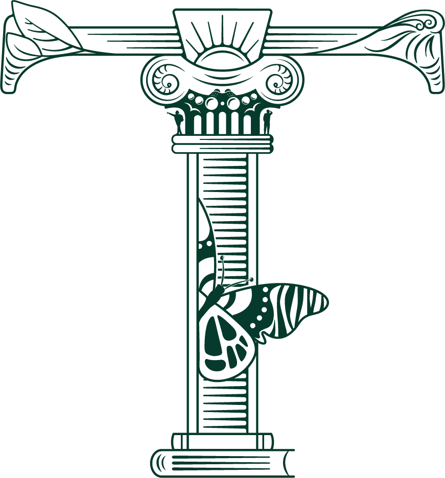True Travel Logo