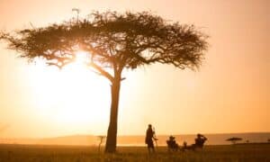 Conde Nast Traveller - US Top Specialists - 2025