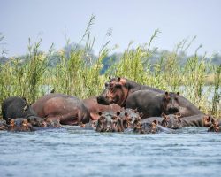 True Travel Zambia