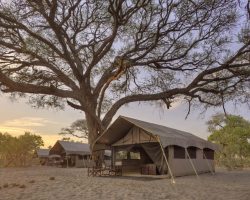 AF_Botswana_Savute, Chobe National Park_andBeyong Savute Under Canvas-lodge