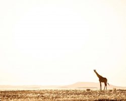 Namibia