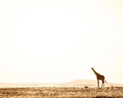 Namibia