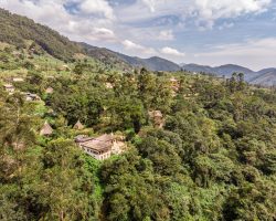 AF_Uganda_Bwindi_Bwindi Lodge-areal view