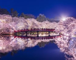 True Travel Japan