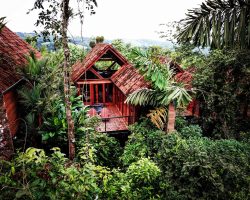 Amor Arenal - Costa Rica - Balcony
